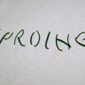  Sproing Pics (125/125)